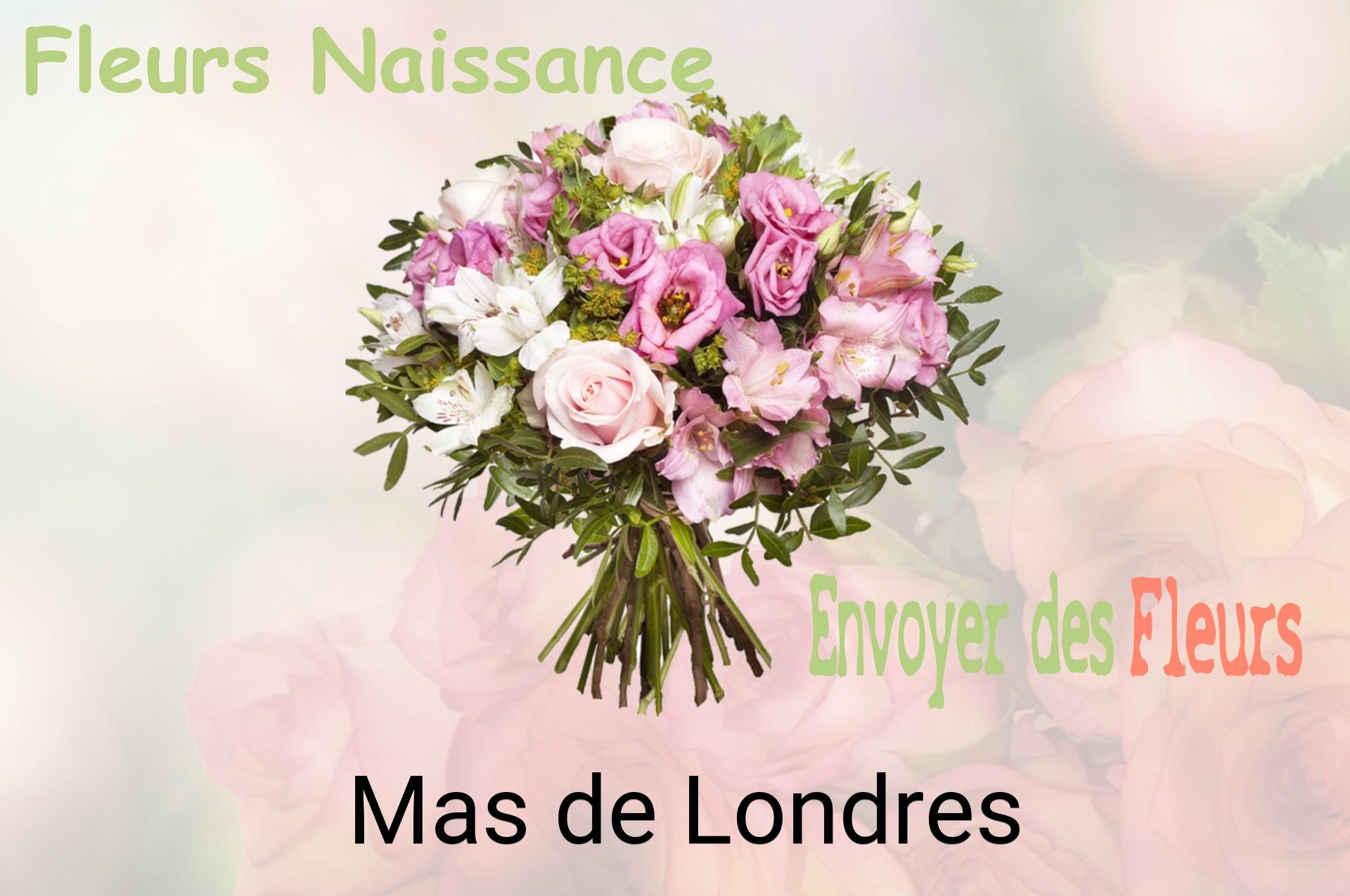 Bouquet de fleurs de naissance livré à Mas-de-Londres
